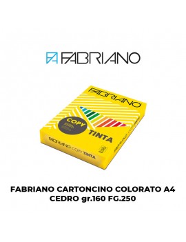FABRIANO COPY TINTA A4 160GR FG.250 COLORI TENUI