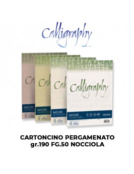 CARTA CALLIGRAPHY PERGAMENA gr.190 cm.A4 FG.50 VARI COLORI